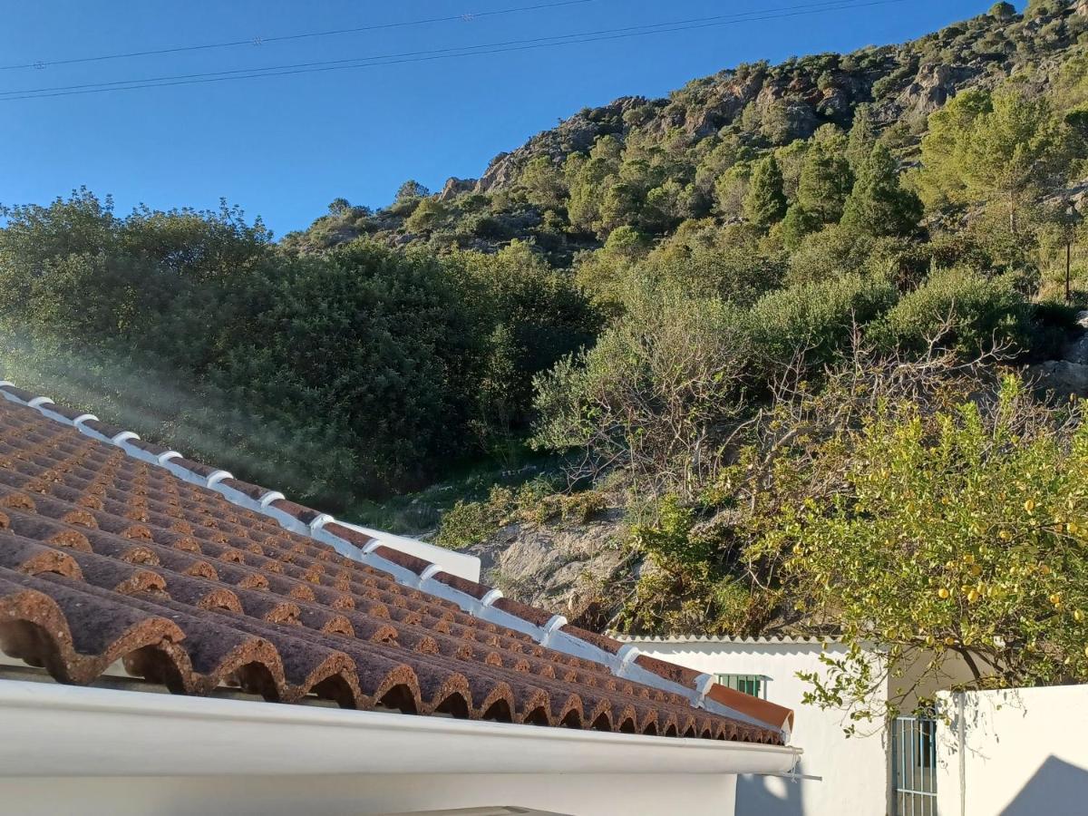 Casa Diego. * Algodonales