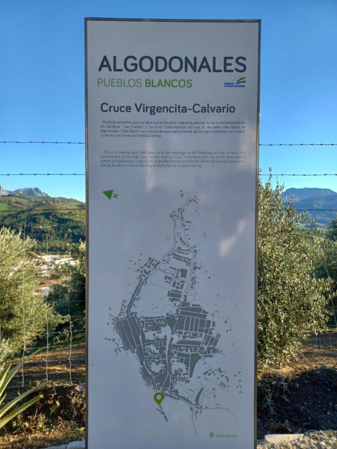 Holiday home Casa Diego. Algodonales